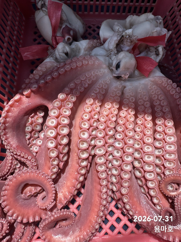 IMG_6564.jpeg
