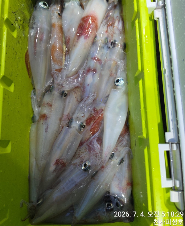 1004피싱_사진_20260704_5.jpg