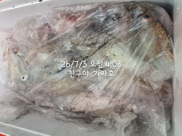 1000061057.jpg