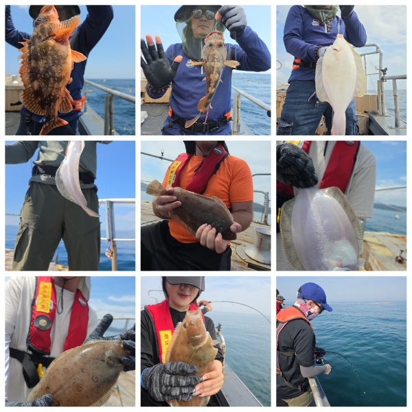 PhotoCollage_1783662199622.jpg