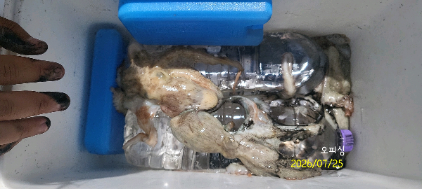 DateCamera0725133601.jpg