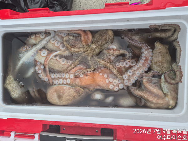 KakaoTalk_20260710_134440310_11.jpg