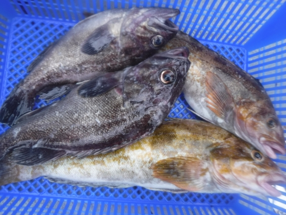 일괄편집_DSCF7092.jpg