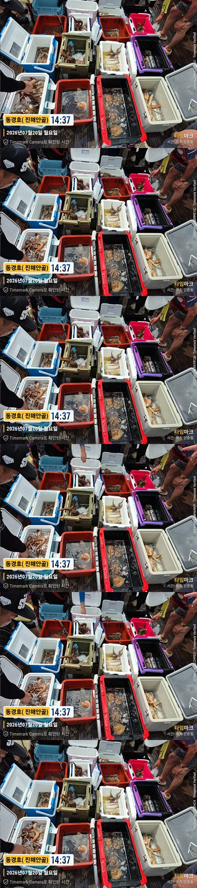 돌문어 26-7-20-1.jpg