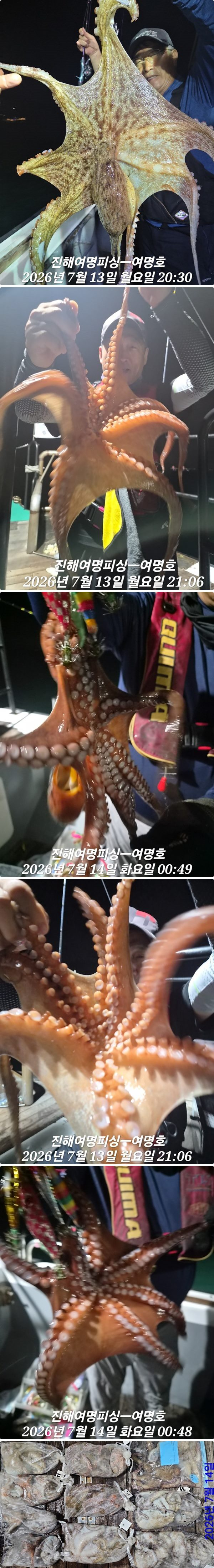 14일문어중.jpg