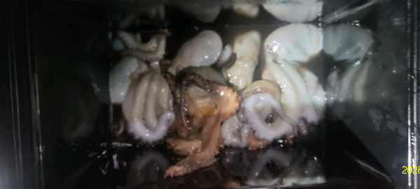 DateCamera0712231519.jpg