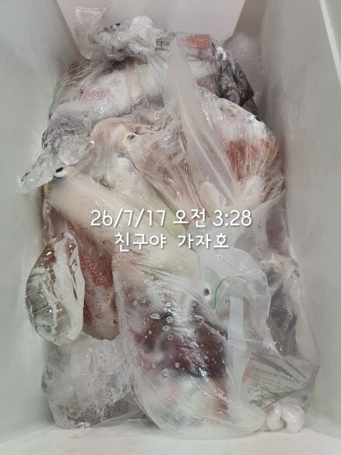 1000062205.jpg