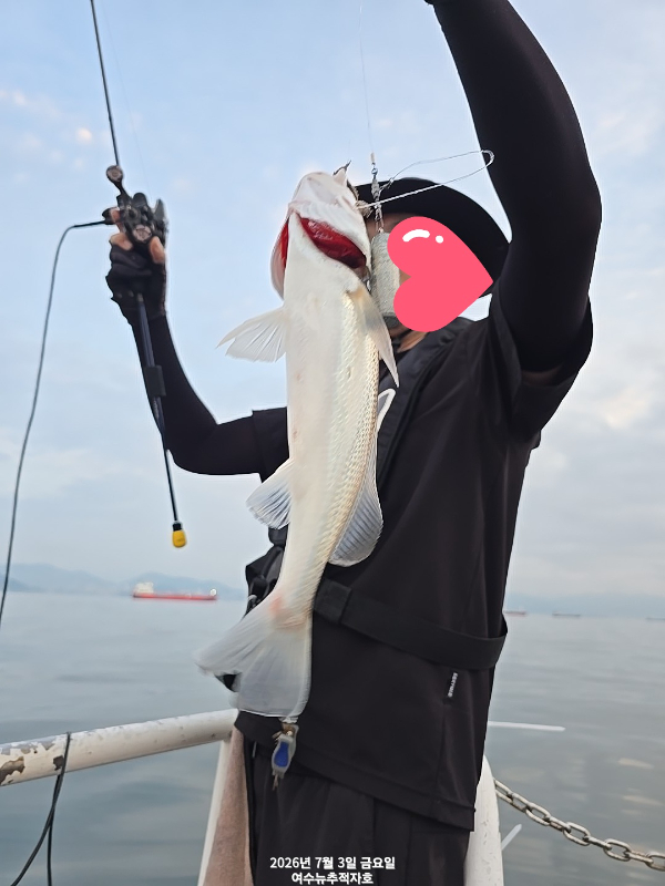 8611.jpg