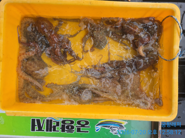 BandPhoto_2026_07_23_17_56_42_2.jpg