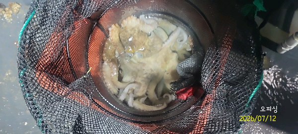DateCamera0712223306.jpg