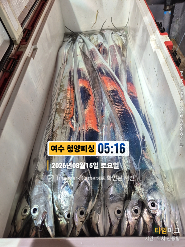 2026-08-15 05.16.38__(제목-여수 청양피싱).jpg