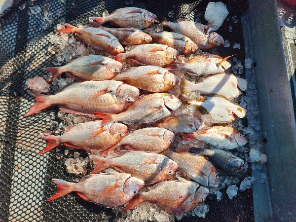 KakaoTalk_20260805_211119353_01.jpg
