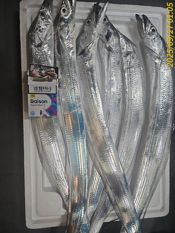 1000022570.jpg