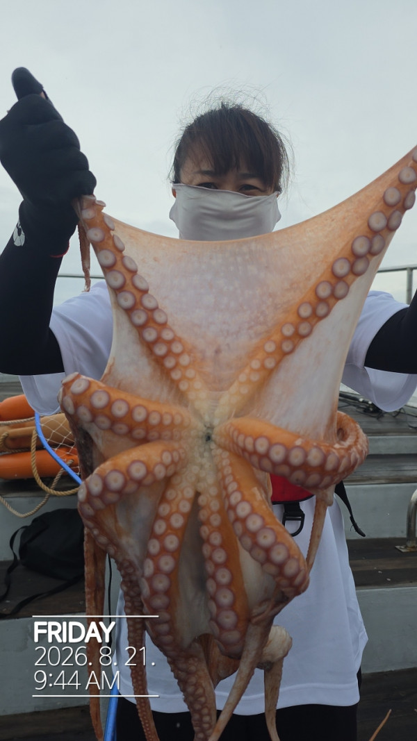 공현진낚시마트(돌핀호)_사진_20260821_9.jpg