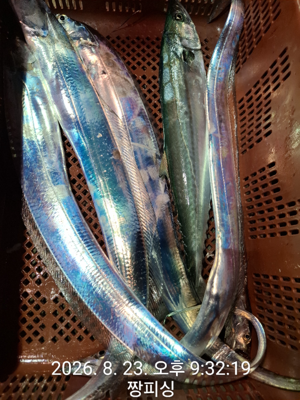 1000082407.jpg