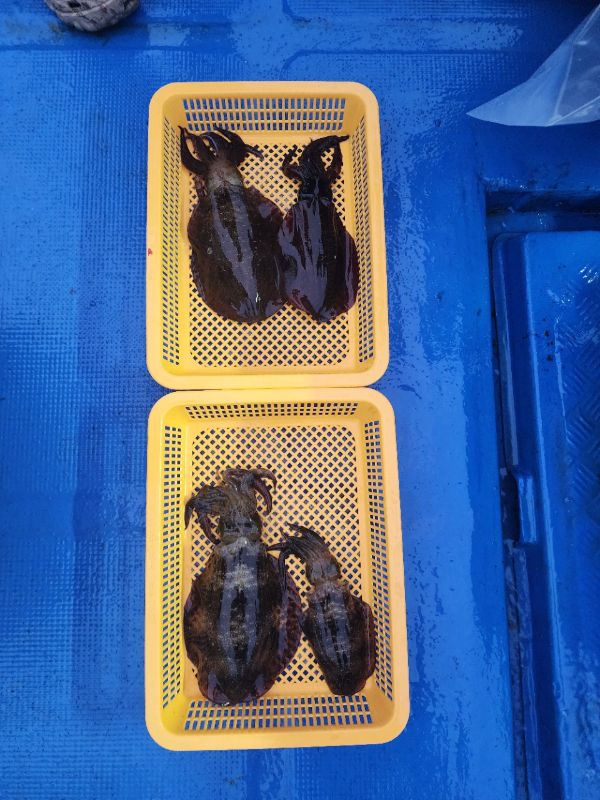 강릉 사천항 만복호_사진_20260820_3.jpg