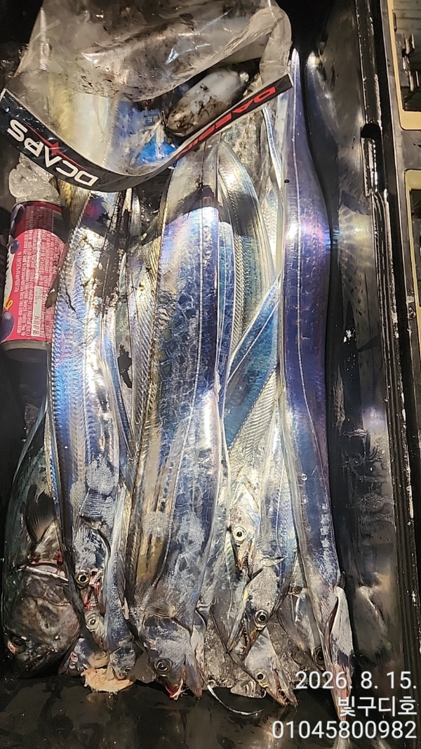 6880.jpg