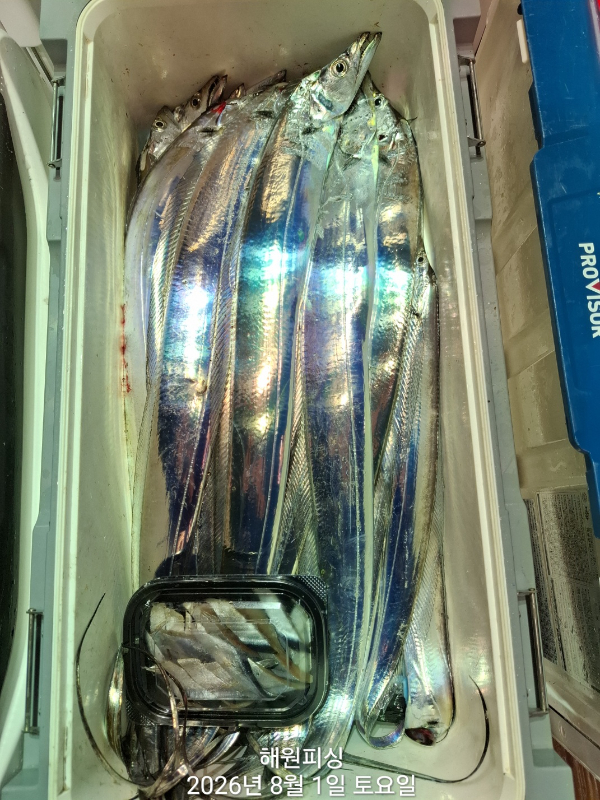 1000036058.jpg
