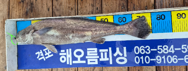 6574.jpg