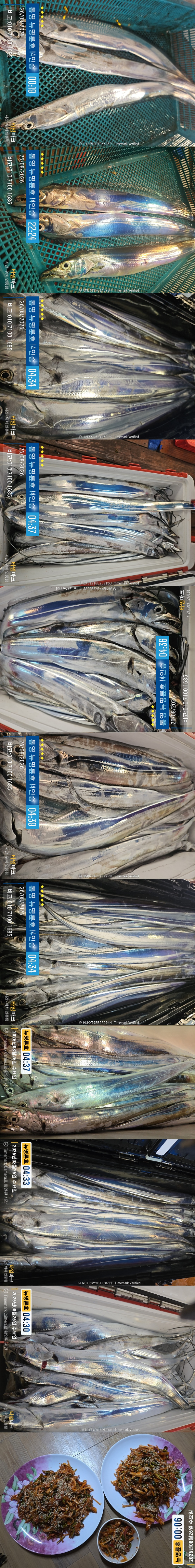 8-26갈치2.jpg
