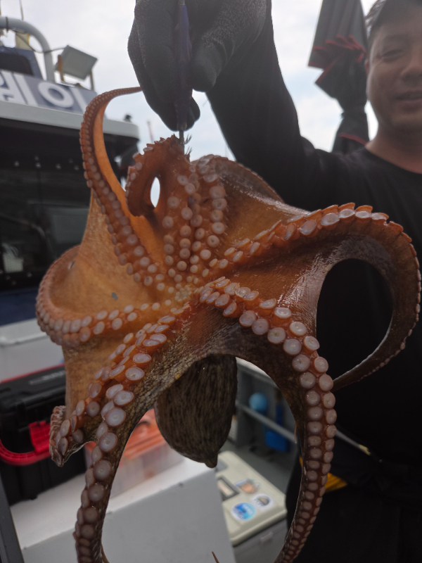 16696.jpg