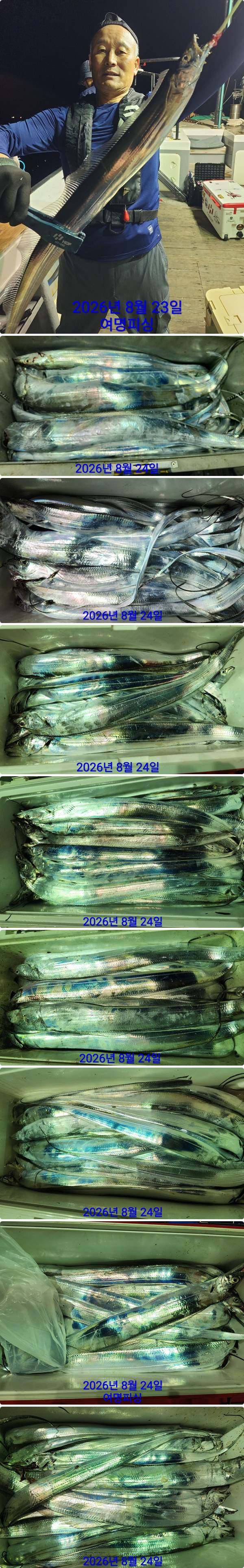 24일갈치하.jpg
