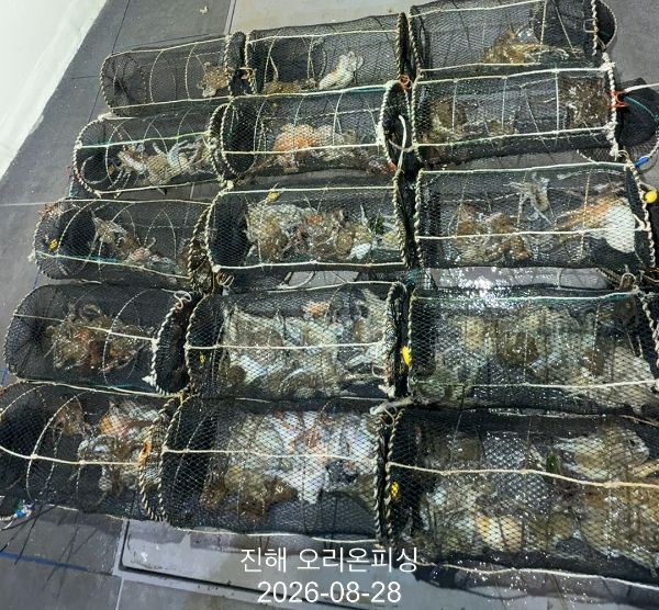 KakaoTalk_20260828_023951133_10.jpg