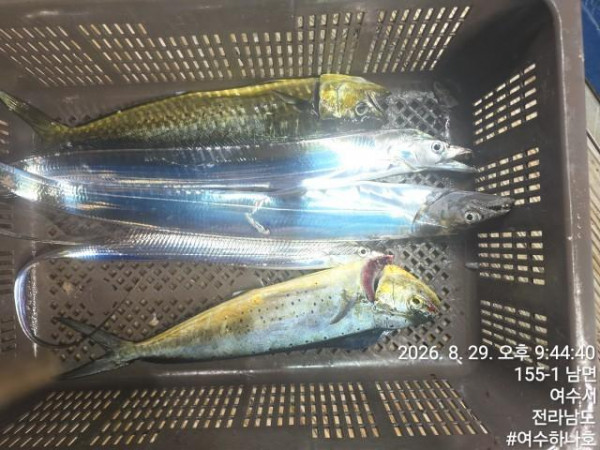 KakaoTalk_20260830_061225456_21.jpg