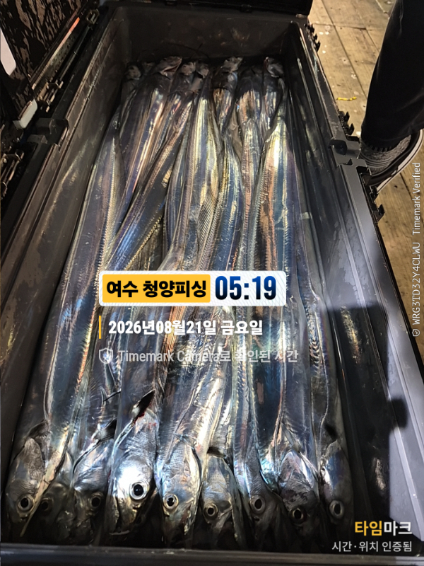 2026-08-21 05.19.24__(제목-여수 청양피싱).jpg