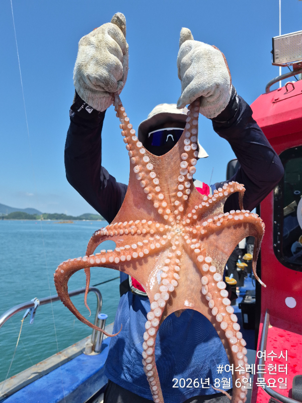 24986.jpg