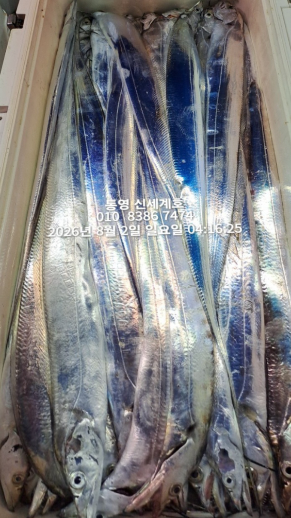 1785619196356.jpg