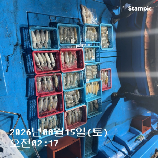 신신낚시 강구점 신신호_사진_20260815_11.jpg