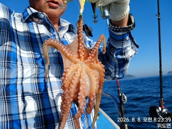 KakaoTalk_20260808_082423732_01.jpg