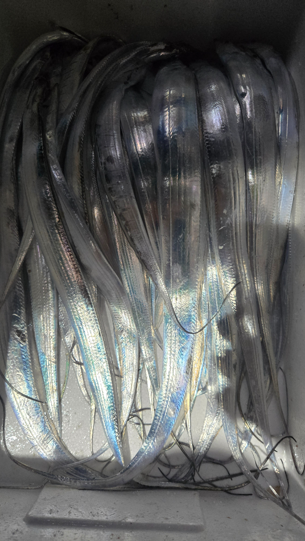 1787098455908.jpg