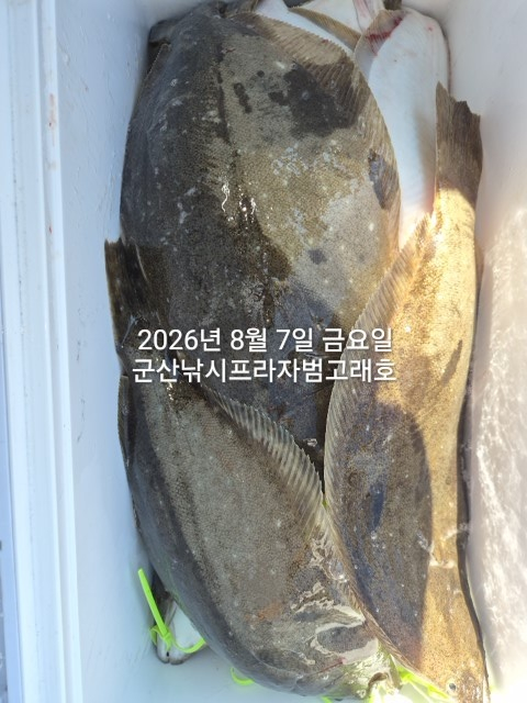 KakaoTalk_20260807_154956921_05.jpg