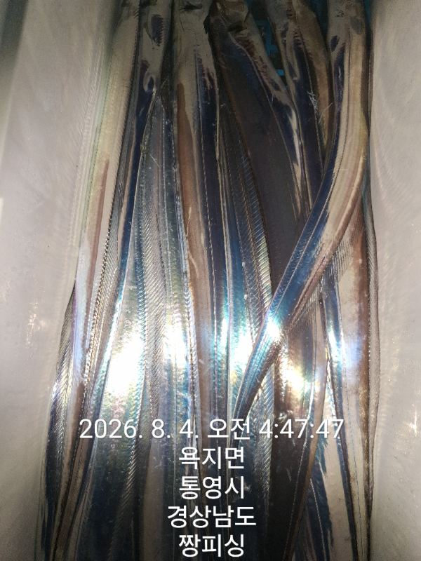 1000081350.jpg
