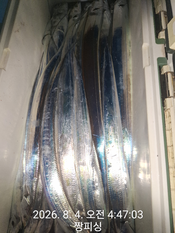 1000081353.jpg