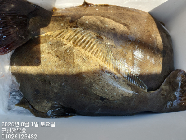 군산행복호_사진_20260801_6.jpg