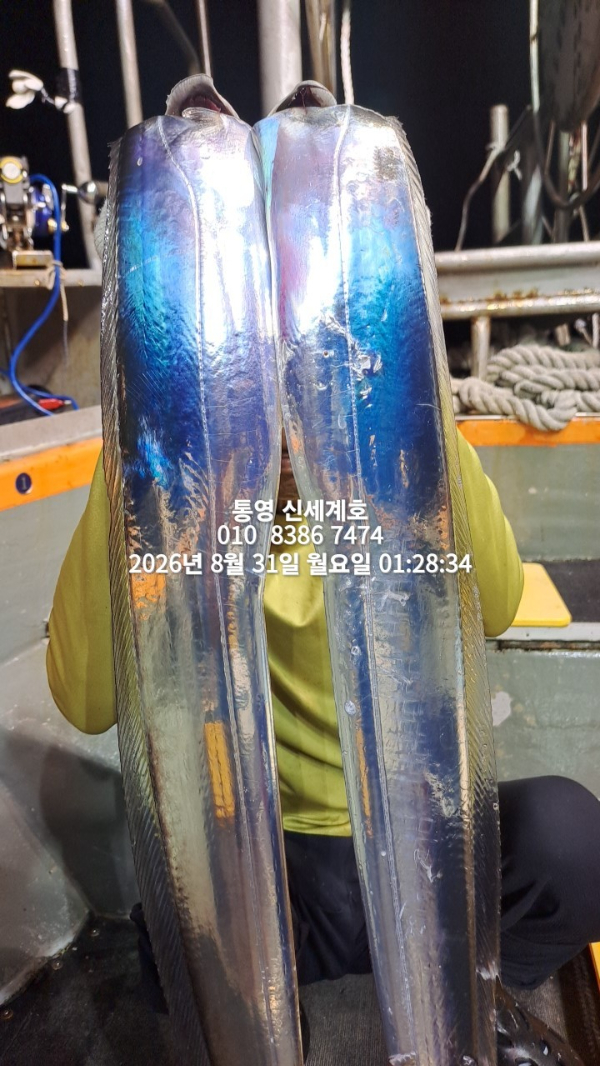 1788130786190.jpg