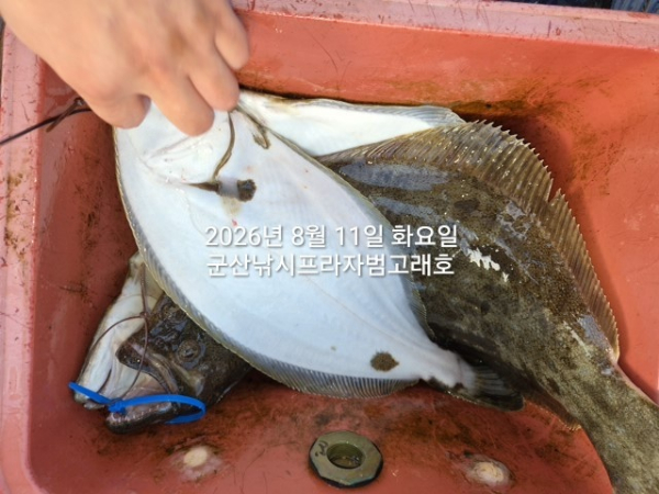 KakaoTalk_20260811_180256660_02.jpg