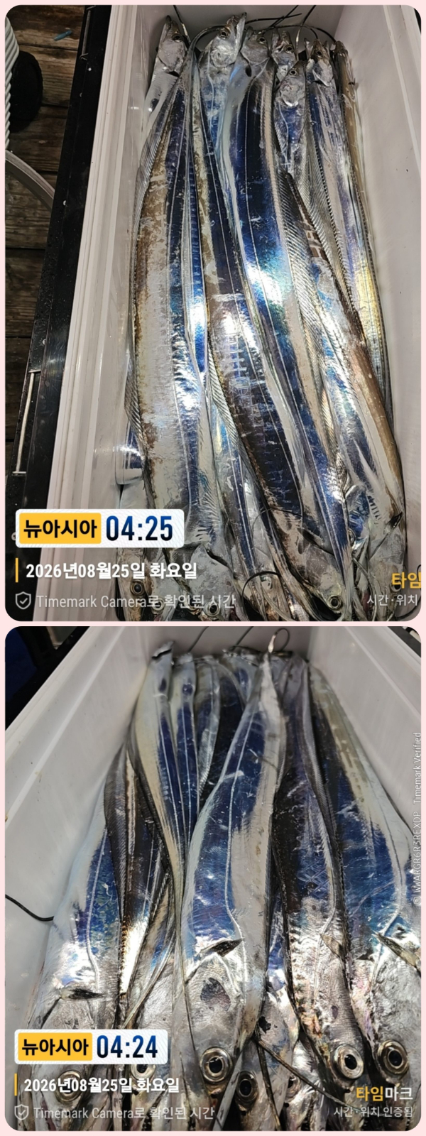 KakaoTalk_20260825_060703642_17-down.jpg