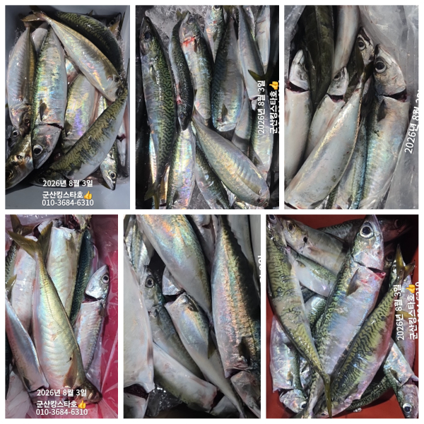 PhotoCollage_1785706415235.jpg