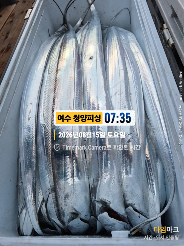 2026-08-15 07.35.44__(제목-여수 청양피싱).jpg
