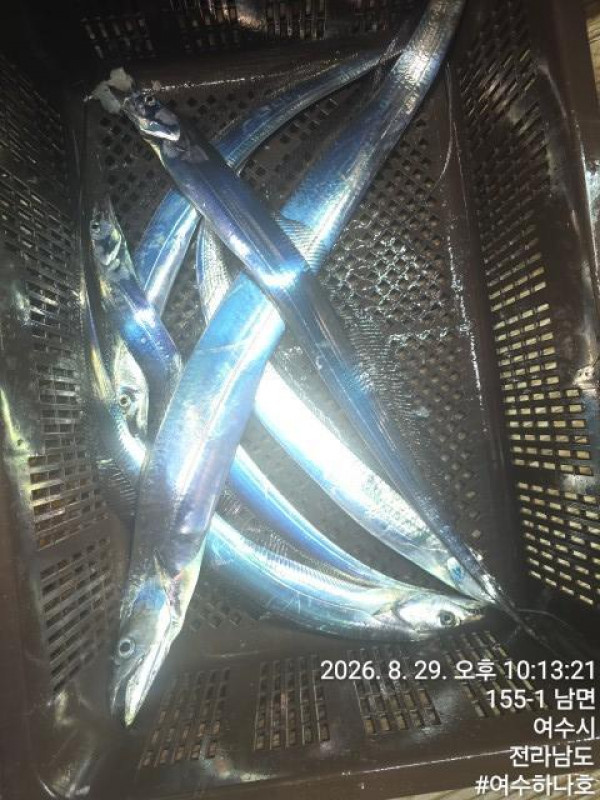 KakaoTalk_20260830_061225456_19.jpg