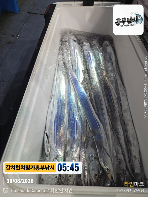 2026-08-30 05.45.28__(제목-갈치한치명가흥부낚시).jpg