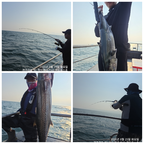 PhotoCollage_1787749098495.jpg