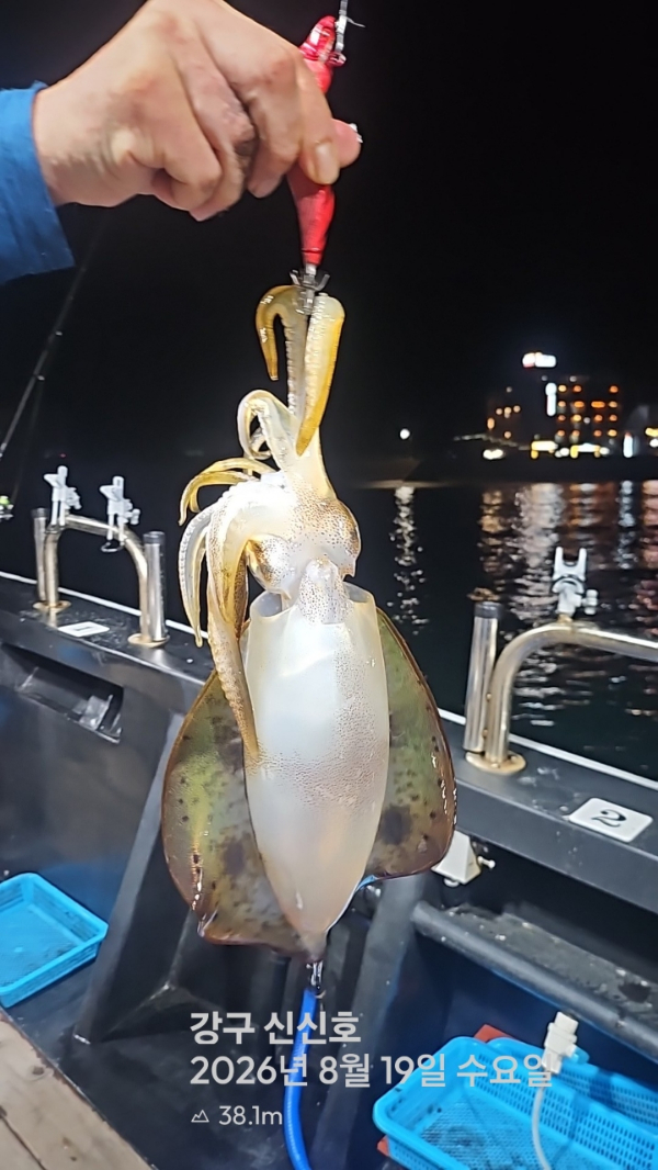 신신낚시 강구점 신신호_사진_20260820_4.jpg