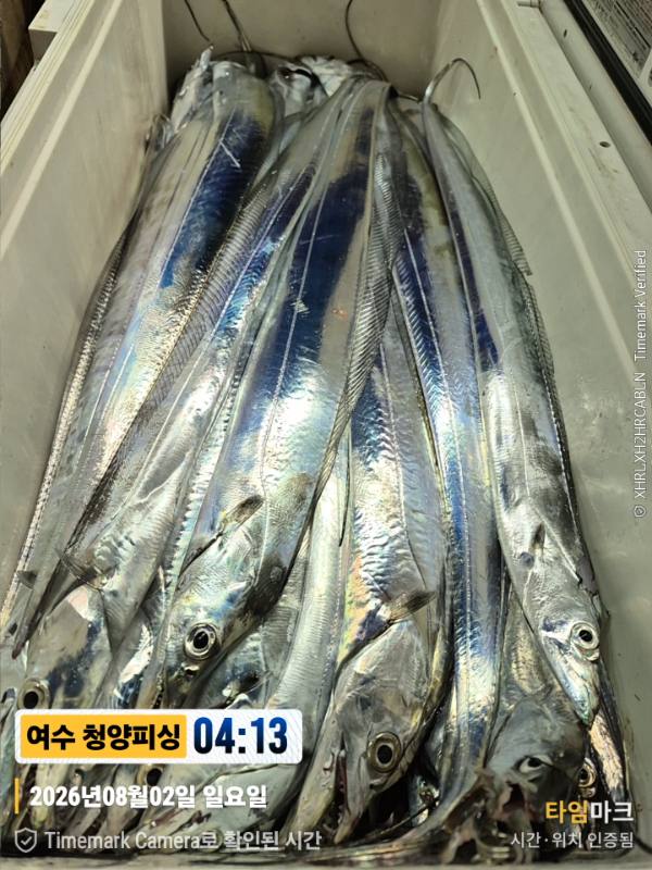 2026-08-02 04.13.27__(제목-여수 청양피싱).jpg