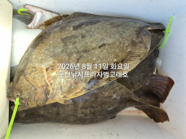 KakaoTalk_20260811_180256660_04.jpg