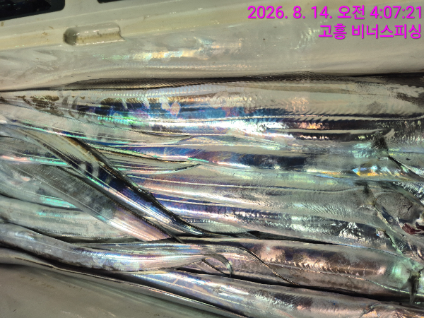 1000054823.jpg
